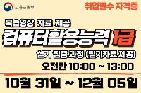 컴퓨터활용능력 1급 (실기)